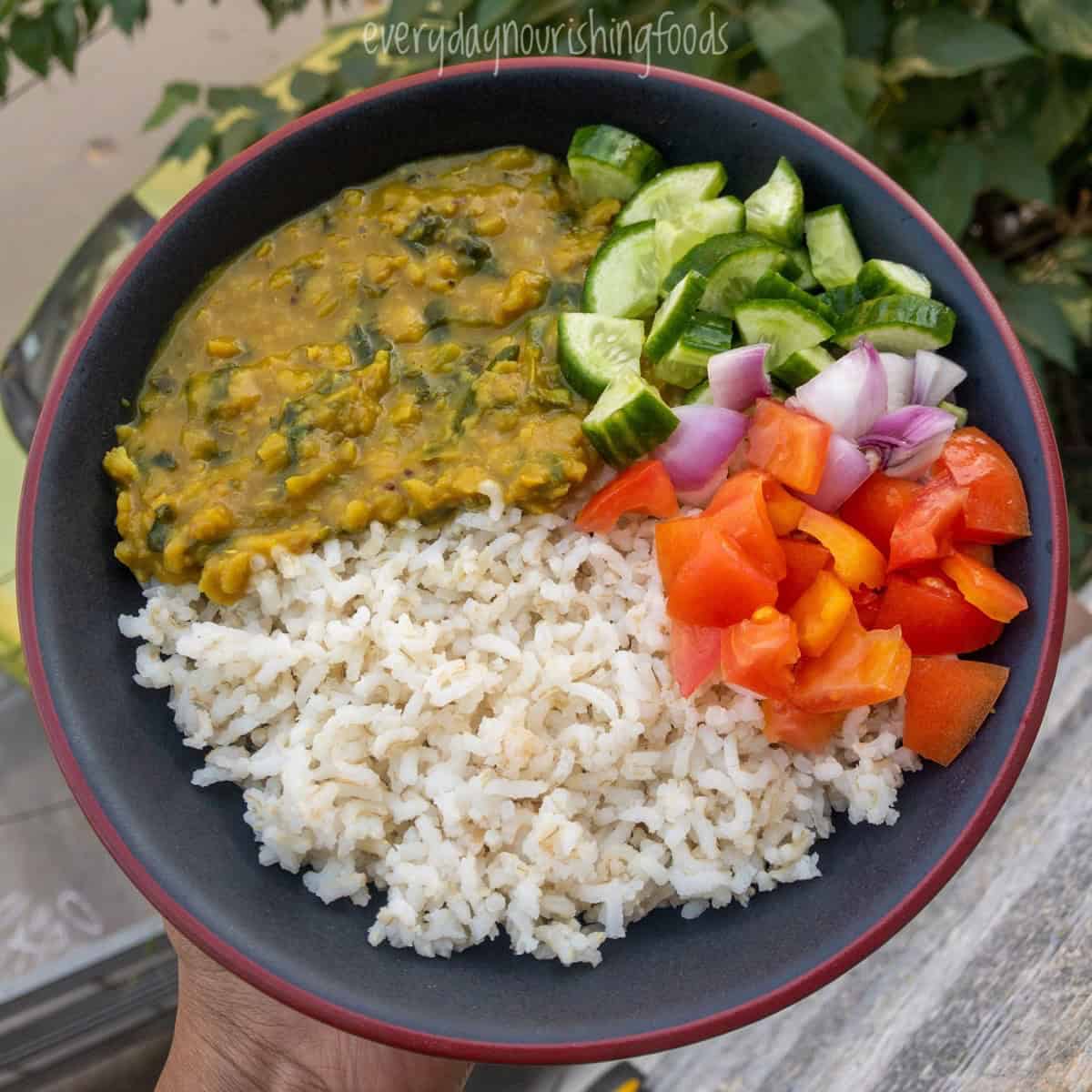 Bowl of rice and dal with a colorful salad of cucumber, tomato, and onion.