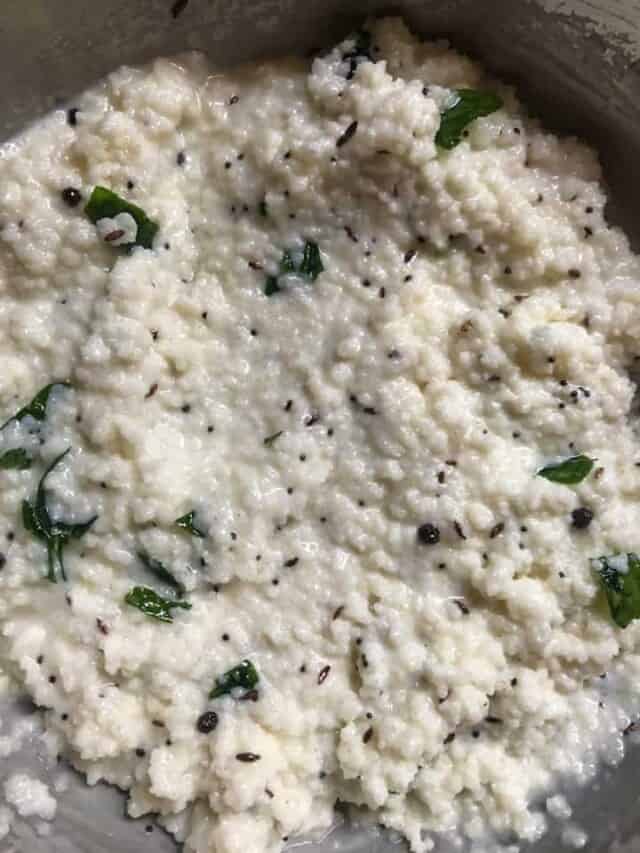 Melet Curd Rice How to make yogurt rice with millet - Everyday Nourishing Foods