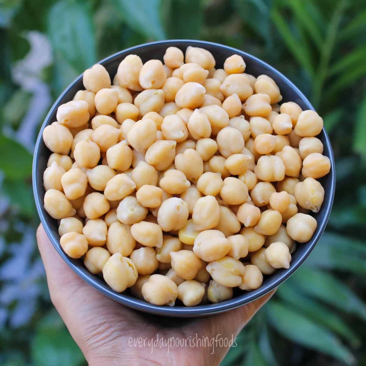 instant pot chickpeas in a bowl