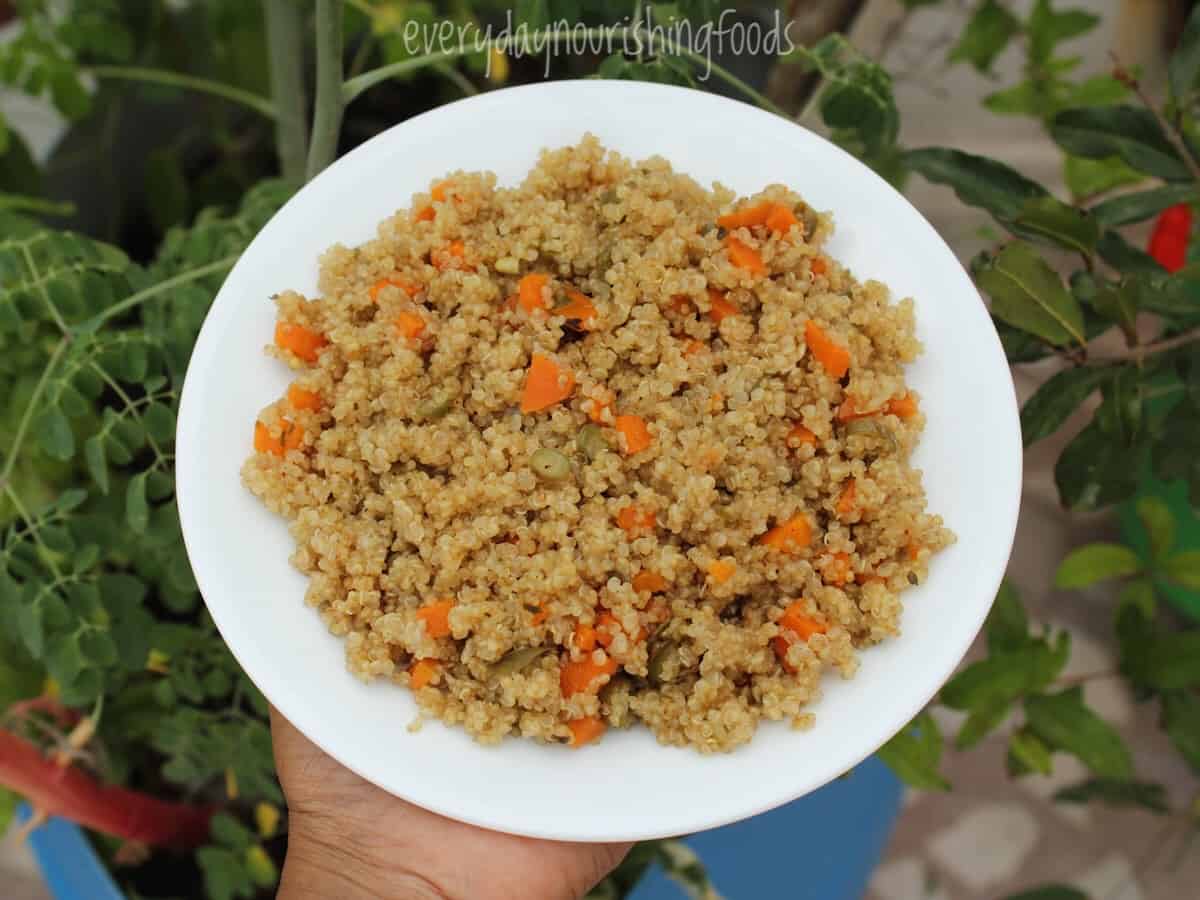 instant pot quinoa with vegetables in a plate