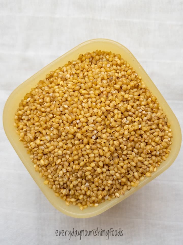 foxtail millet