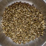 Steamed mung sprouts in a large steel bowl.
