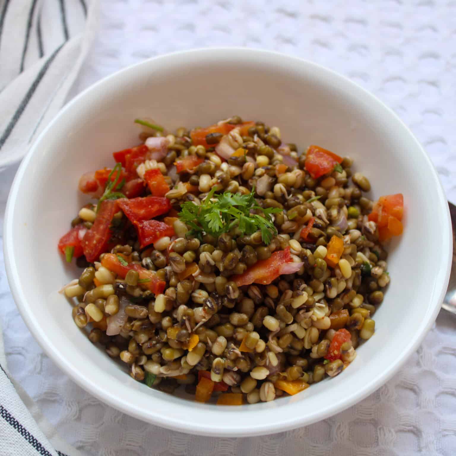 Easy Sprouted Moong Salad (Indian Chaat Style Recipe) - Everyday