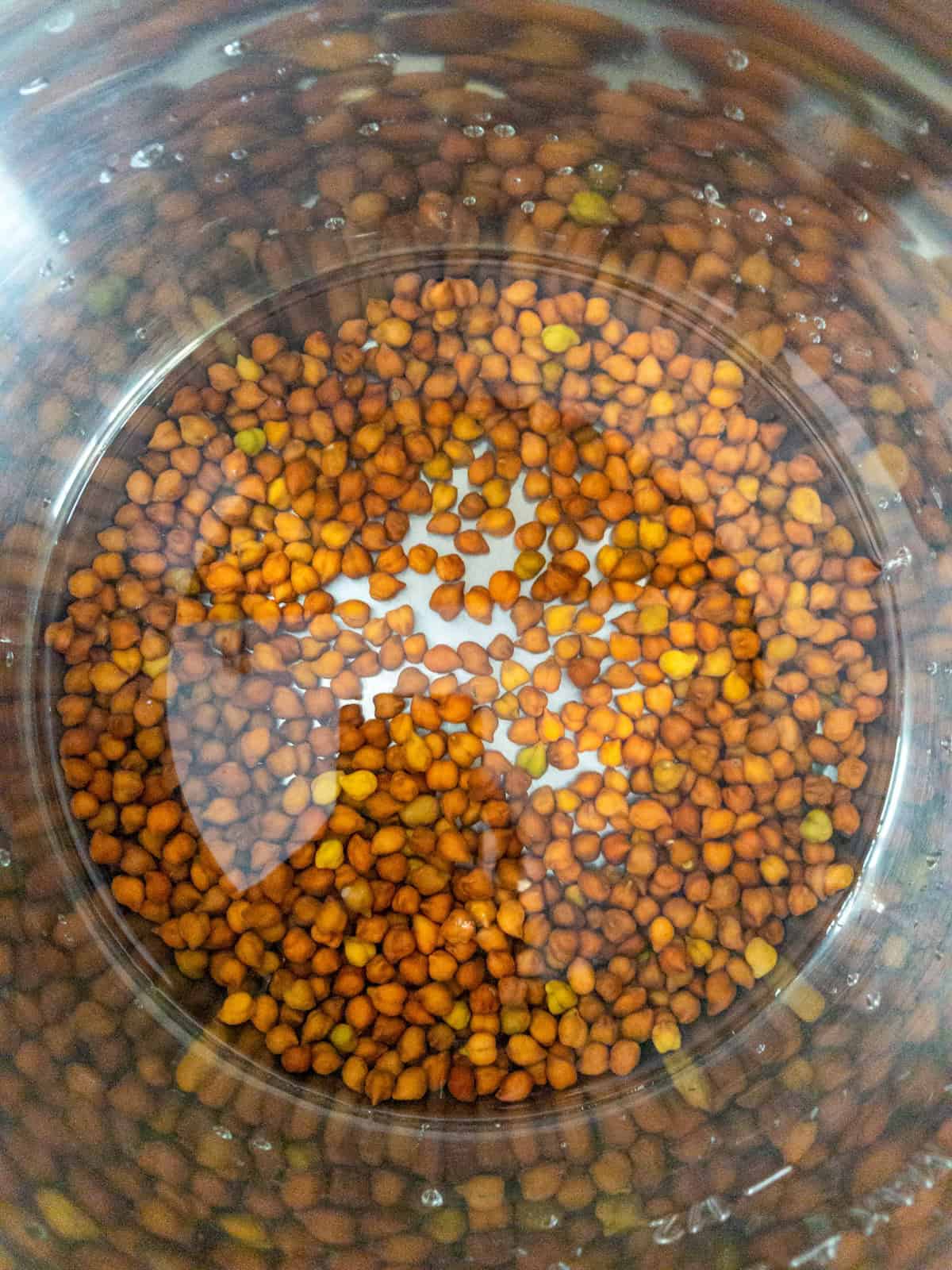 Soaked black chickpeas in water inside an Instant Pot steel insert.