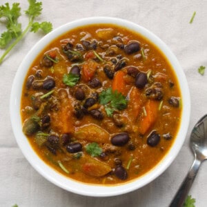 Top view of vegan pumpkin black bean vegetable curry served in a white bowl with cilantro garnish.