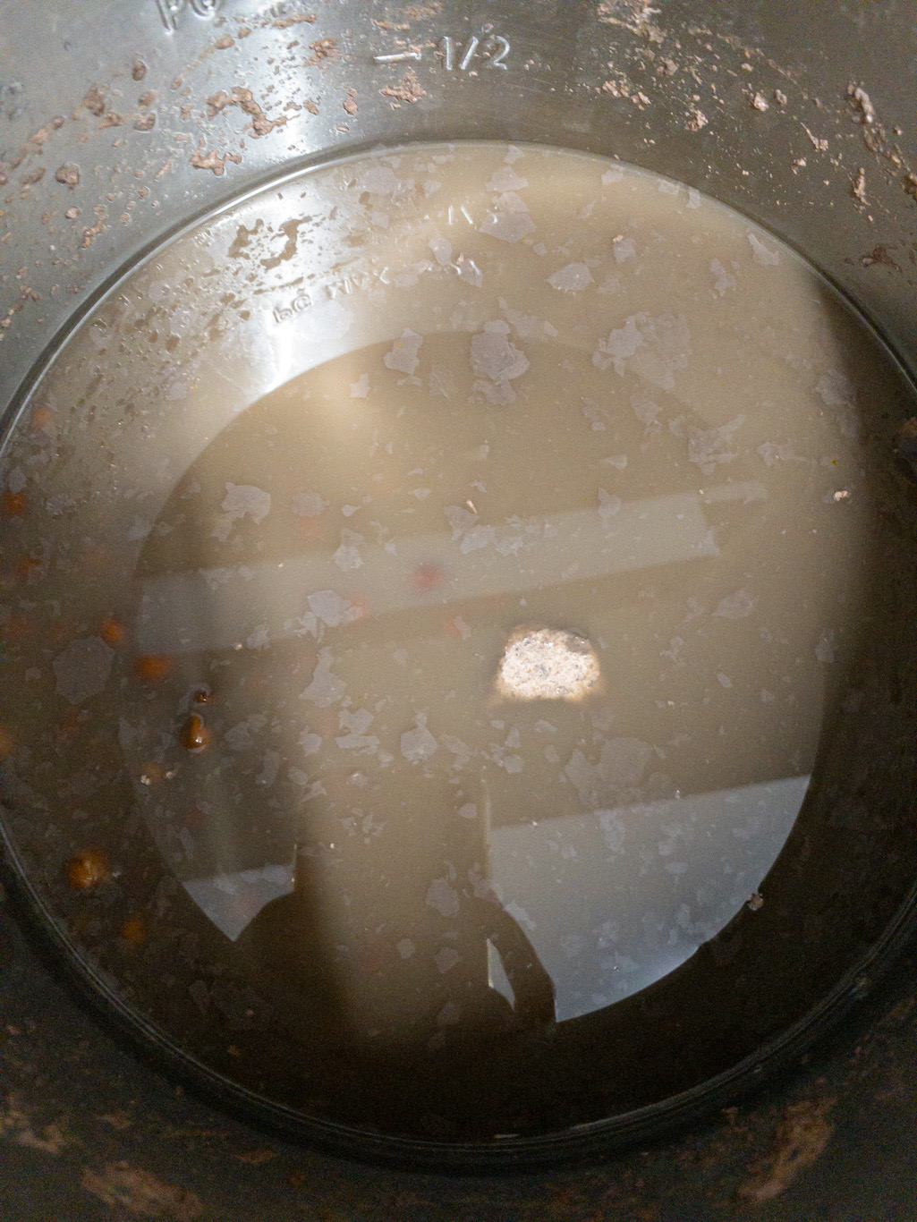 Cooked brown chickpeas covered with water in the Instant Pot insert.