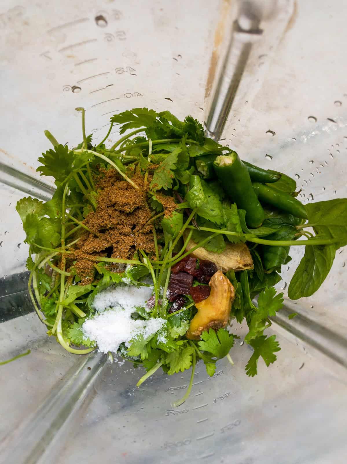 Cilantro, mint, ginger, green chilies, cumin powder,lemon juice, and salts gathered in a blender jar.