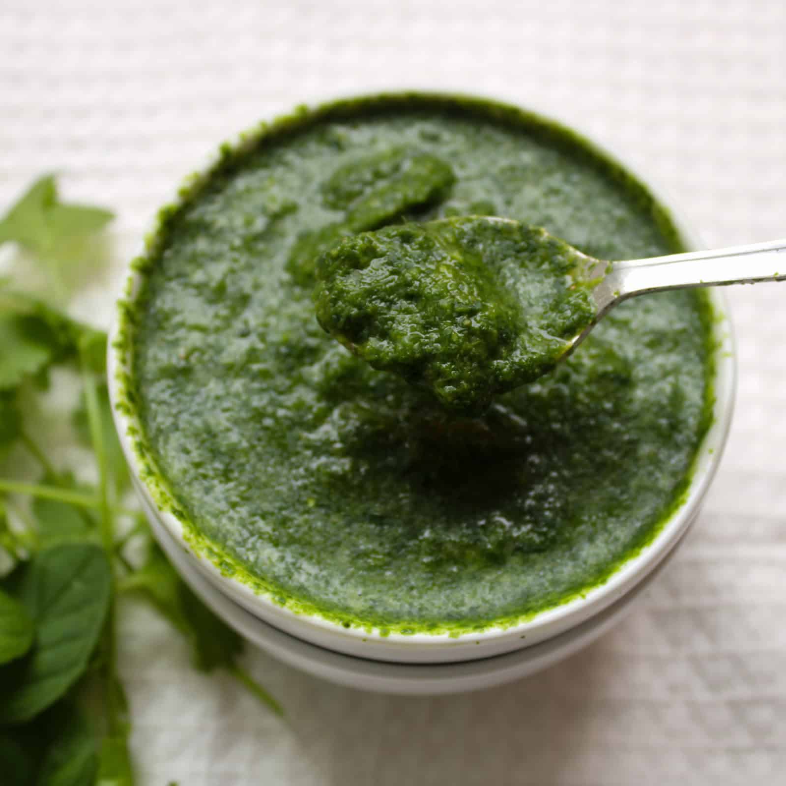 A spoon holds thick blended cilantro mint chutney above a white bowl.